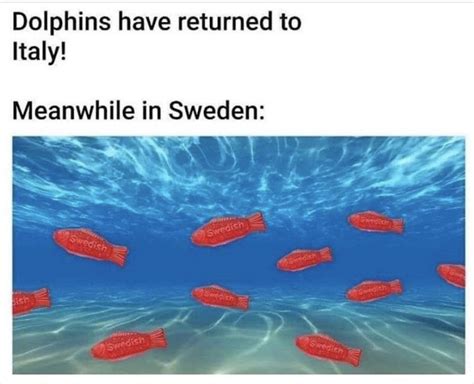 Top 10 meme countryhumans sweden. Dolphins Have Returned To Italy Meanwhile In Sweden - Meme ...