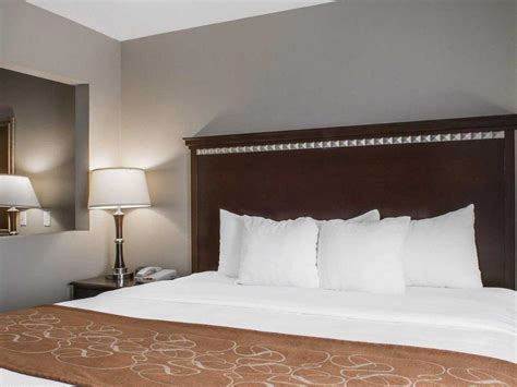 Comfort Suites Near Texas Aandm Corpus Christi In Corpus Christi Tx See 2023 Prices