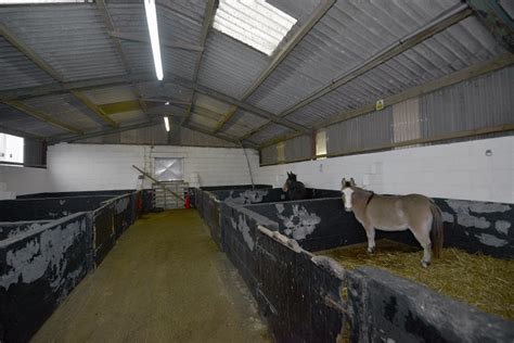 Rochdale News News Headlines Bleakholt Animal Sanctuary Appealing