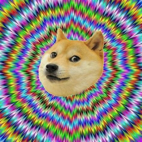 Wow Such Cool So Doge Much Picture Doge