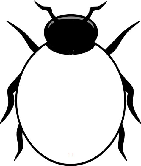 Beetle Clipart Outline Beetle Outline Transparent Free For Download On