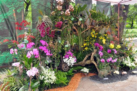 The hill country conference team has brought in the experts to help you complete any project you can dream up. ORCHID & GARDEN SHOW: Feb. 25 - March 7, 2017, Quezon ...