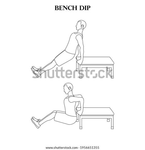 Bench Dip Exercise Workout Vector Illustration Stock Vector Royalty