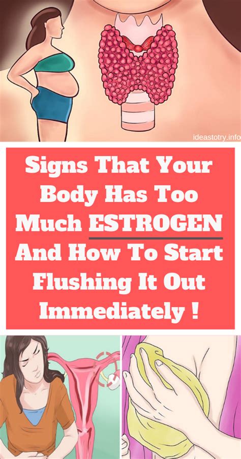 Signs That Your Body Has Too Much Estrogen And How To Start Flushing It