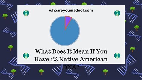 What Does It Mean If You Have 1 Native American Dna Who Are You Made Of