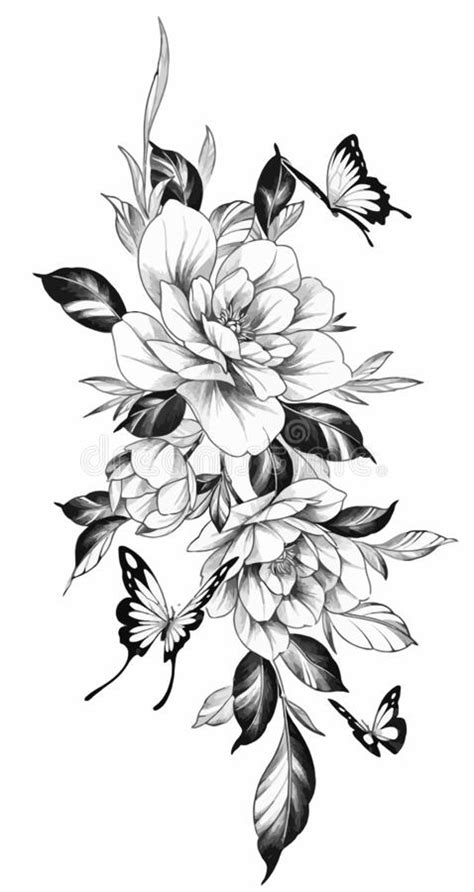 Rose Flower Outline Aesthetic Rose Beauty Vector Drawing Sketch Hand