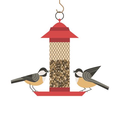Feeding Birds Illustrations Royalty Free Vector Graphics