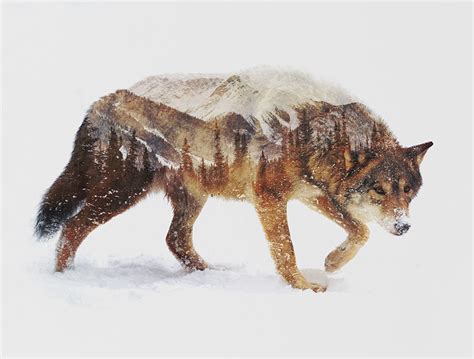 Double Exposure Portraits Of Wild Animals That Reflect Their Habitat3