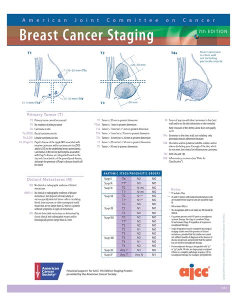 Trouvez les meilleures images gratuites sur le thème « ajcc 8th edition lung cancer ». Suspicious breast calcifications undergoing stereotactic ...