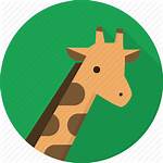 Giraffe Icon Animal Zoo Wildlife Africa Icons