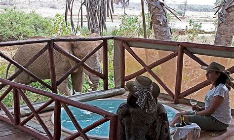 Elephant bedroom camp kenya basks in the glory of the vast wilderness adjacent to ewaso nyiro river. Elephant Bedroom Camp | Kenya Luxury Safari