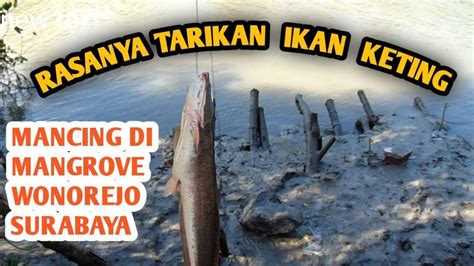 Mancing Keting Di Mangrove Wonorejo Surabaya Youtube
