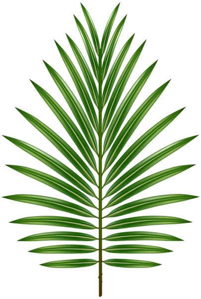 Palm tree svg file, palm tree svg cut file and palm tree clipart printable to make a tropical wall decor, for a summer party, invites for a. Palm Leaf Transparent Image | Gallery Yopriceville - High ...