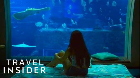Hotel Room Overlooks An Aquarium Sentosa Singapore Underwater