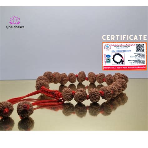 Original 10 Mukhi Rudraksha Adjustable Bracelet 125 Mm Unisex With