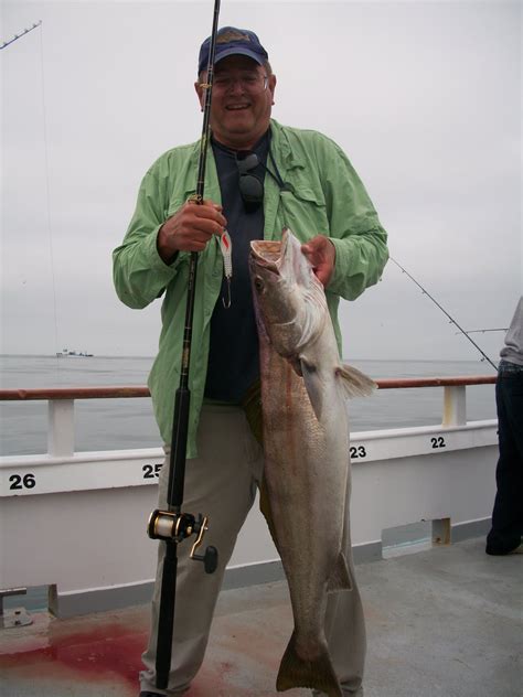El Jobo 22 Pound White Sea Bass On The Tradition