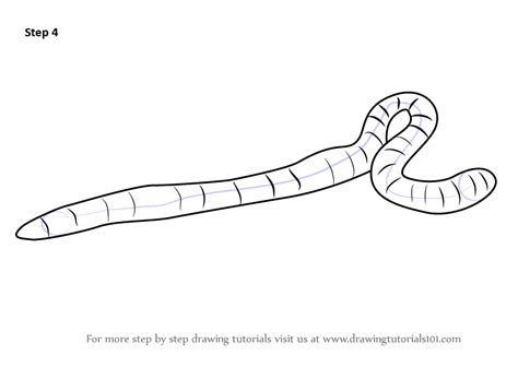 Learn How To Draw An Earthworm Worms Step By Step Drawing Tutorials