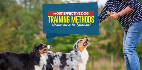 Most Effective Dog Training Methods According To Science