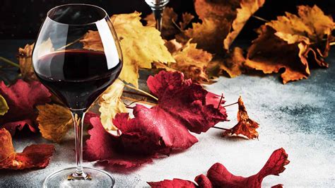 Autumn Drinking Tips The Wine Society