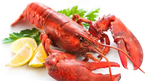 Types Of Lobsters Clawed And Spiny Lobster