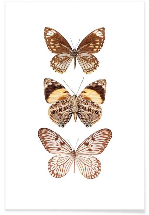 Butterfly 6 Poster Juniqe