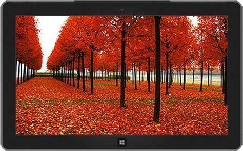 10 Windows Themes For This Autumn Season