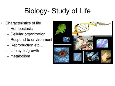 Ppt Biology Study Of Life Powerpoint Presentation Free Download