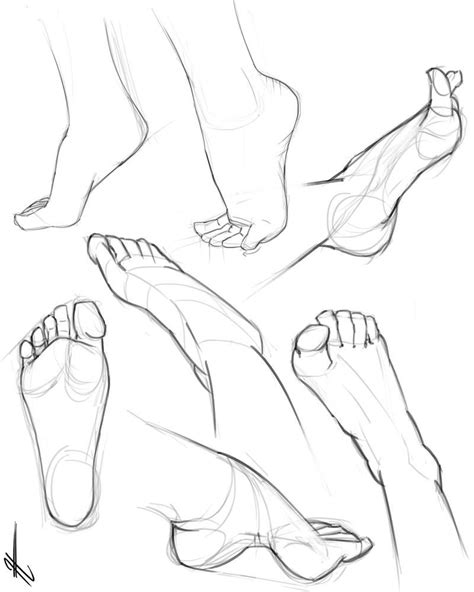 Anatomy 6 By Jooood On Deviantart Anatomy Art Anatomy Drawing Feet