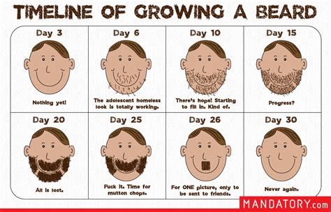 Timeline Of Growing A Beard Funny