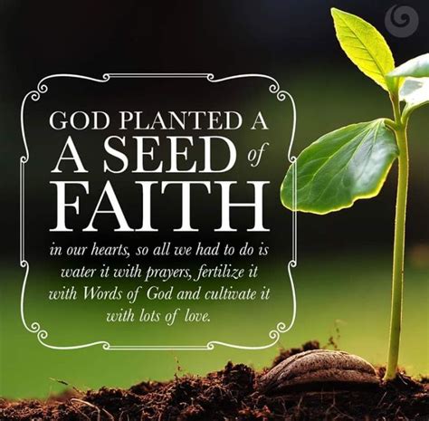 The Faith Of A Mustard Seed Psalm 119 114 Spiritual Thoughts Do