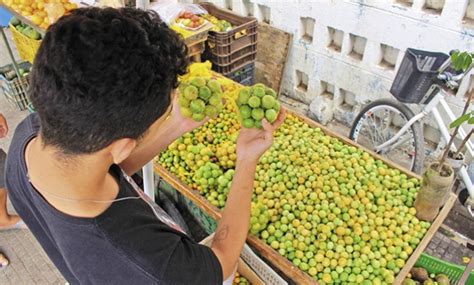 O mamão é uma fruta típica das regiões tropicais e subtropicais, conhecido por vários nomes nesta terra americana, para o prazer e para a saúde dos homens, deus criou uma fruta que é a própria luz. Umbu é alternativa de renda para produtores do Norte de ...