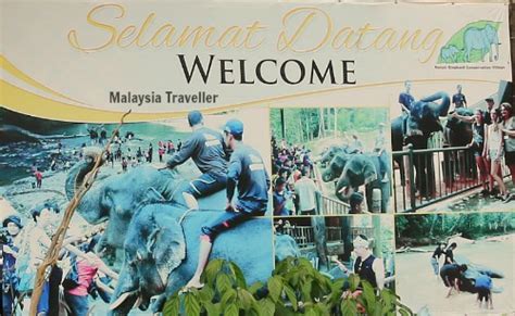 Tagesausflug zum kenyir elephant conservation village (kecv). Kenyir Elephant Conservation Village, Terengganu, Malaysia