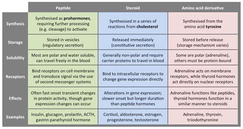 Types Of Hormones Chart Hormones Tyrosine Medical School Stuff