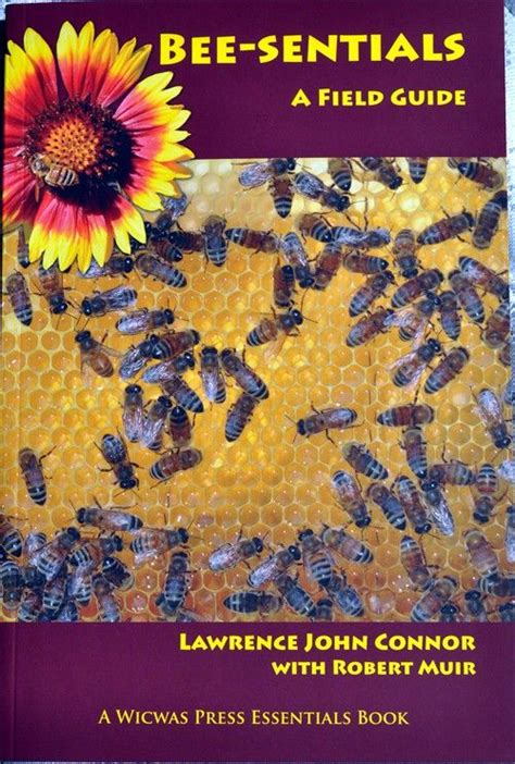 One Of The Best Go To Beekeeping Books Covers All The Basics Plus