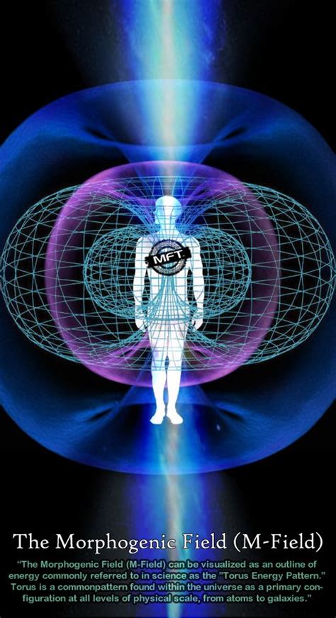 The Morphogenic Field Is A Term We Use To Describe The Field Of Energy