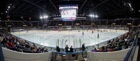 Springfield Thunderbirds Look to Continue Thriving - Arena Digest