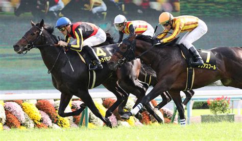 「総合ランキング」では「全集」「文庫」「コミック」は除いています。 ※ 同日発売の上下巻等は上位の巻の順位にまとめて順位掲載しています。 ※ 本資料の、営利を目的とした第三者への二次利用を固く禁じます。 ※ 価格は消費税抜き本体価格で. 【スプリングステークス2020予想】最終結論～堂々勝負、今度は ...