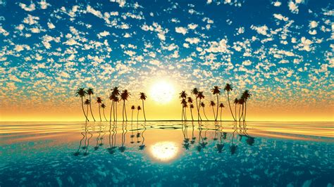 Sunset Horizon Orange Sky White Clouds Palm Trees Ocean Reflection In