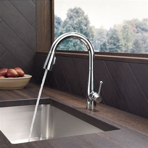 Delta 9113 Kitchen Faucet F W Webb Online Ordering