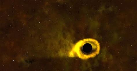 un agujero negro hace colapsar una estrella infobae
