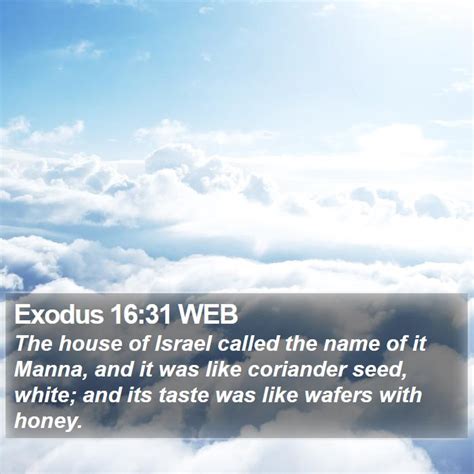 Exodus 1631 Web The House Of Israel Called The Name Of It Manna
