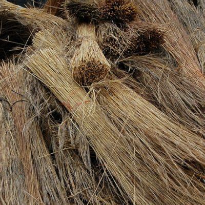 A thatched roof ensures that a building is cool in summer and warm in winter. Thatching Grass - Northern Poles and Thatching