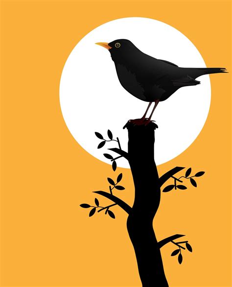 Download Blackbird Bird Silhouette Royalty Free Stock Illustration