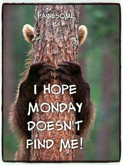 Yep Its Monday And You Cant Hid From It But You Can Make It Better