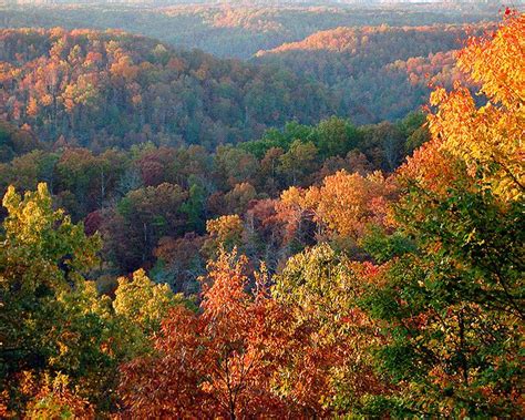 Fall Colors In Kentucky Louisville Pinterest