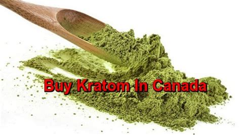 Online Store To Buy Kratom In Canada by edmontonkratom - Issuu