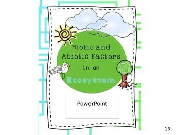 Abiotic b) refers to living things e 3. Biotic and Abiotic Factors in an Ecosystem: PowerPoint | TpT