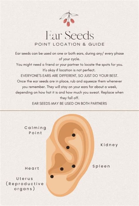 Ear Seed Chart Wisdom Of The Womb