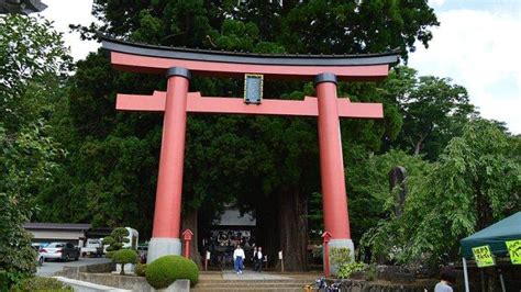 5 gerbang torii yang ikonik di jepang berburu foto di torii of peace hakone shrine