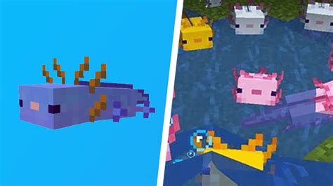 Rare Axolotl Colors Minecraft